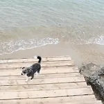 Zaya & Ξενοδοχείο *