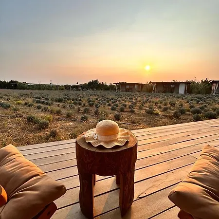 Zaya & Çeşme