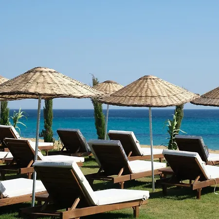 Hotel Zaya & Beach